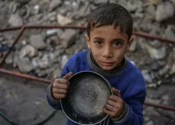 BM: Gazze'de 500 binden fazla kişi “felaket” düzeyinde aç