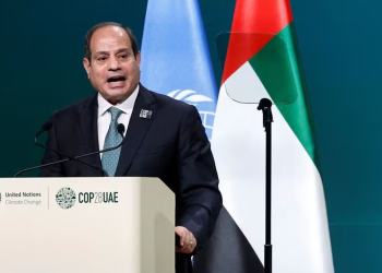 Sisi’den Somaliland anlaşmazlığına yönelik hamle 