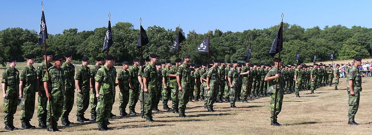 Södra_skånska_regementet_uppställt_Revinge_2015